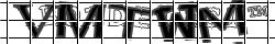 Saisissez les caractères de l'image