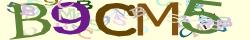 Saisissez les caractères de l'image