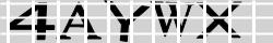 Saisissez les caractères de l'image