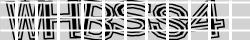 Saisissez les caractères de l'image