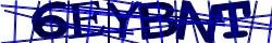 Saisissez les caractères de l'image