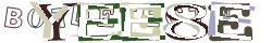 Saisissez les caractères de l'image