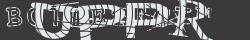 Saisissez les caractères de l'image