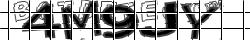 Saisissez les caractères de l'image