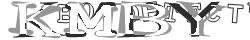 Saisissez les caractères de l'image