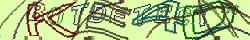 Saisissez les caractères de l'image