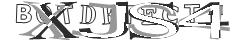 Saisissez les caractères de l'image