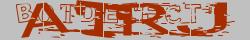 Saisissez les caractères de l'image