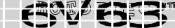 Saisissez les caractères de l'image