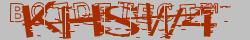 Saisissez les caractères de l'image