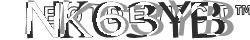 Saisissez les caractères de l'image